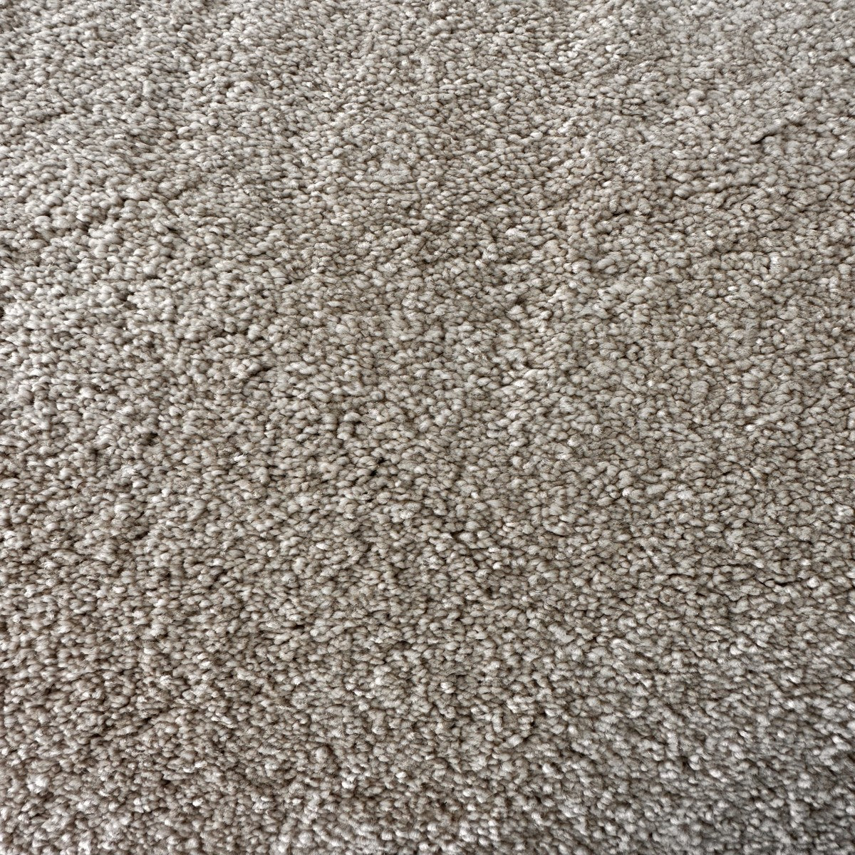 Enver 9976 (1.45m x 5.00m) M016242