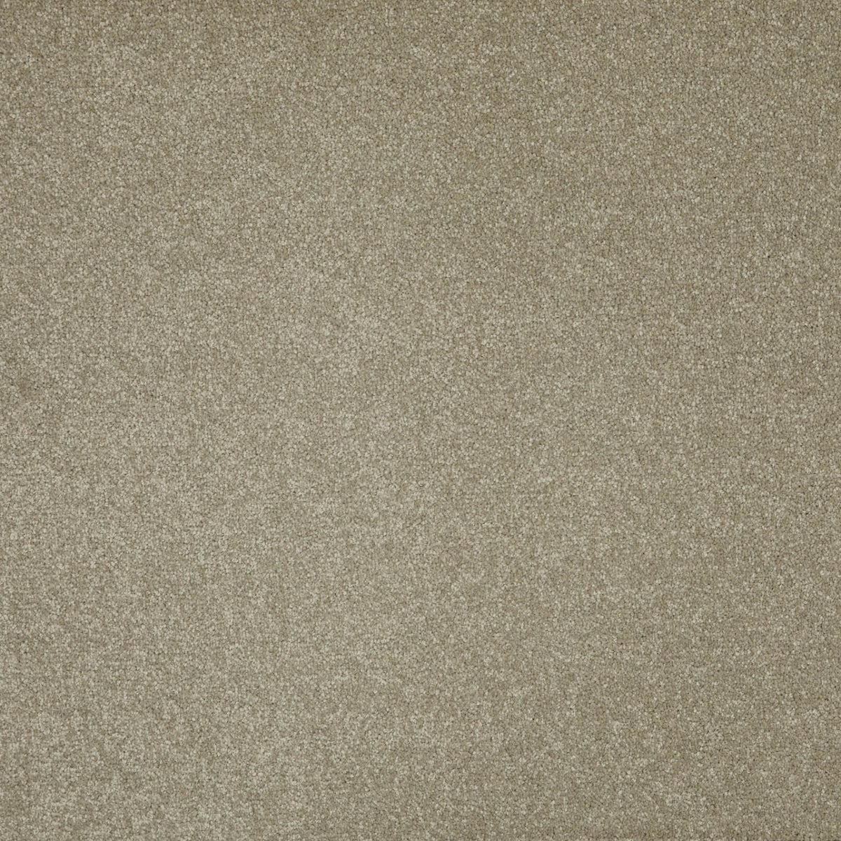 Forest Twist 64 (5.00m x 4.00m) M014829