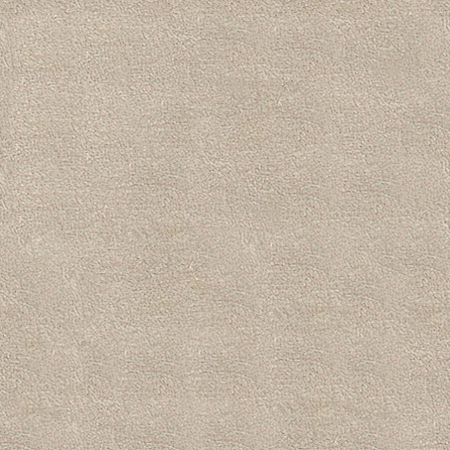 Severus Carpet
