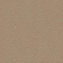 Septimus Carpet