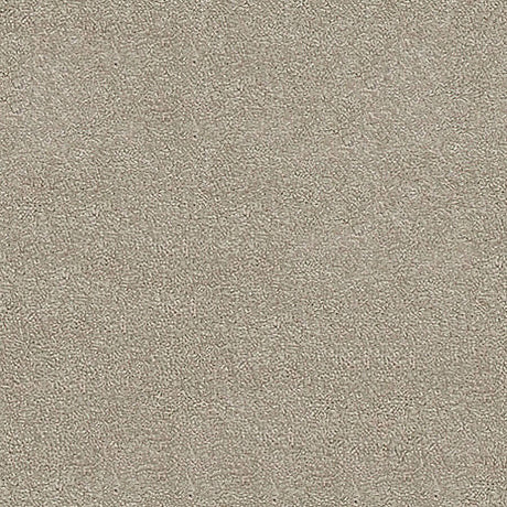Severus Carpet