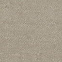 Septimus Carpet