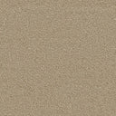 Septimus Carpet