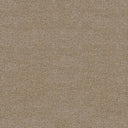 Severus Carpet