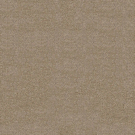 Septimus Carpet