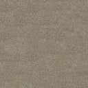 Septimus Carpet