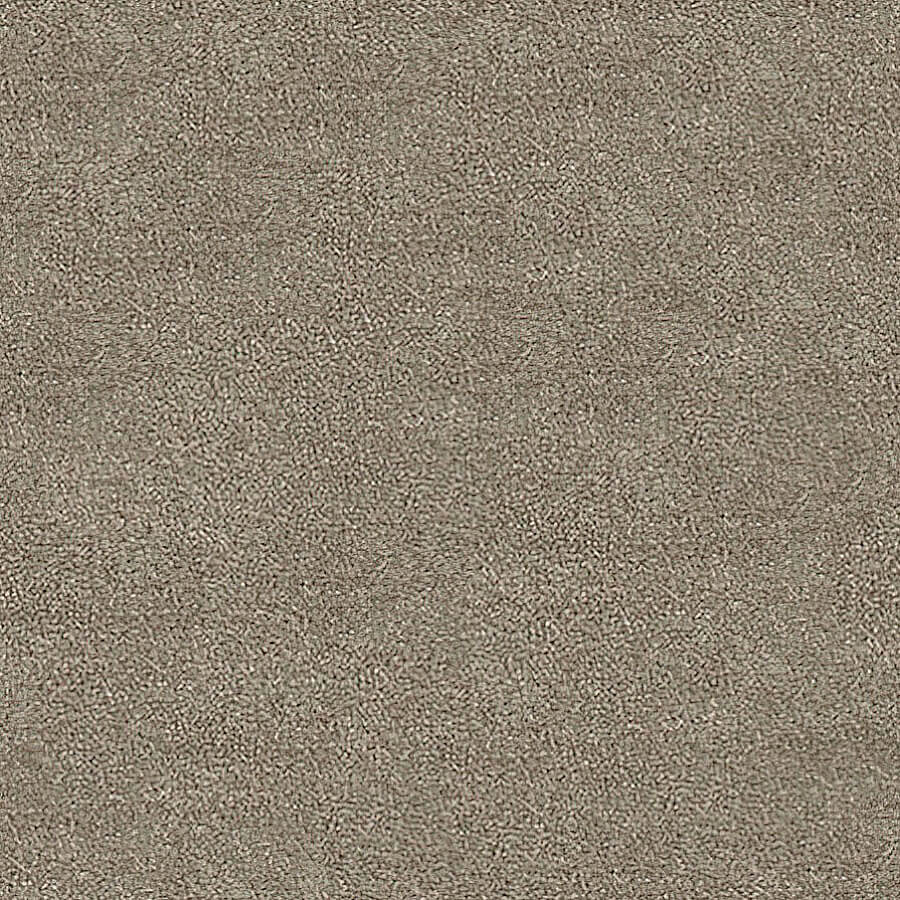 Severus Carpet