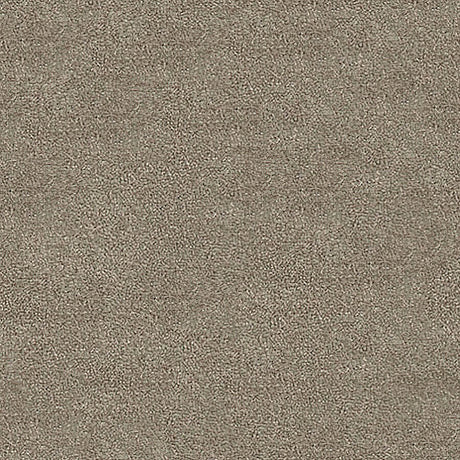 Severus Carpet