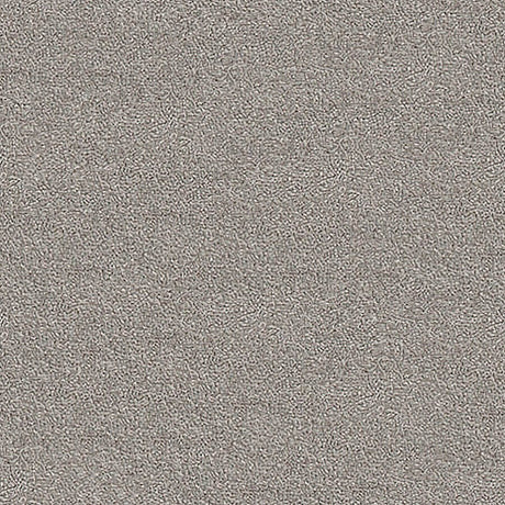 Severus Carpet