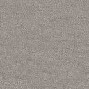 Septimus Carpet