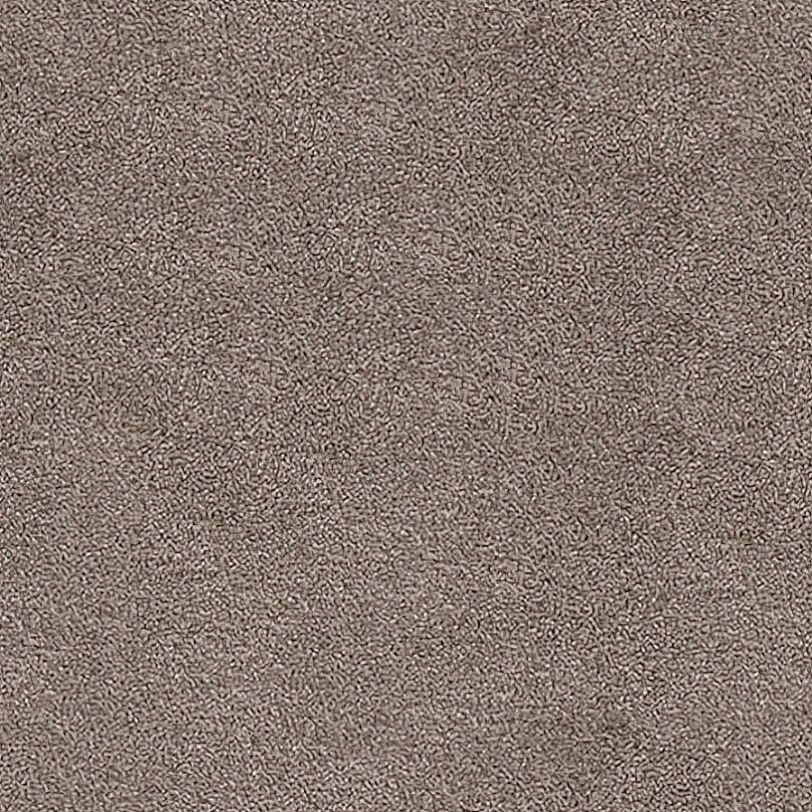 Septimus Carpet