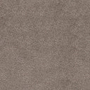 Severus Carpet