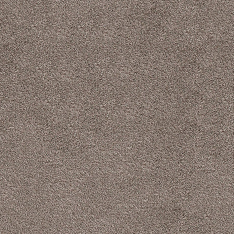 Severus Carpet