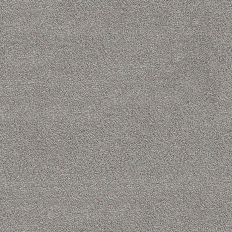 Severus Carpet