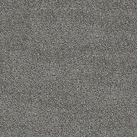 Septimus Carpet