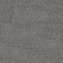 Severus Carpet