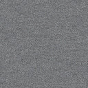 Severus Carpet