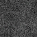 Severus Carpet