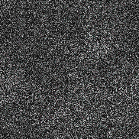 Severus Carpet