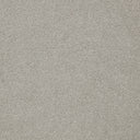 Primo Plus Carpet