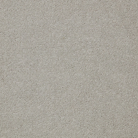Primo Ultra Carpet
