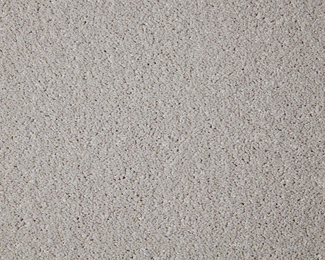 Primo Grande Carpet
