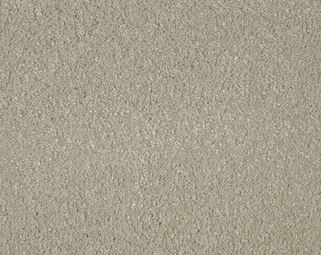 Sensation Carpet