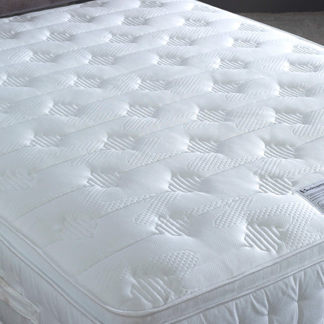 Anti Bed Bug Mattress