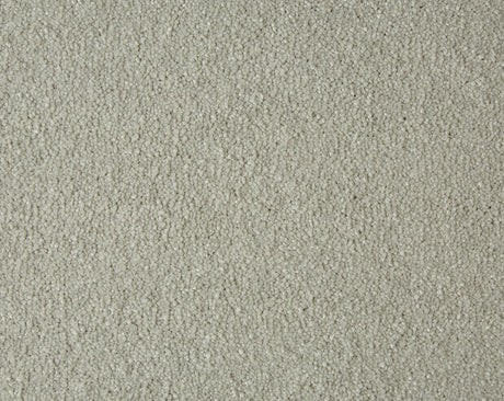 Sensation Carpet