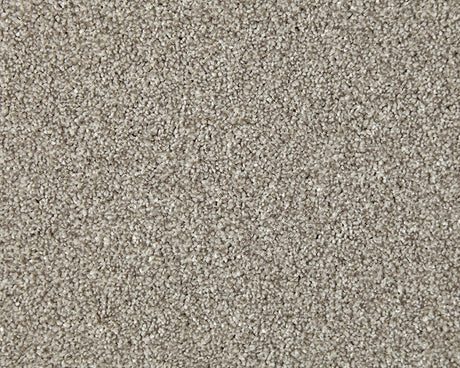 Primo Naturals Carpet