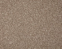 Primo Grande Carpet