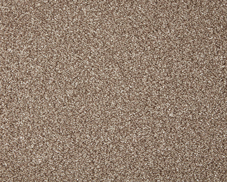 Primo Grande Carpet