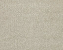 Apollo Elite Carpet