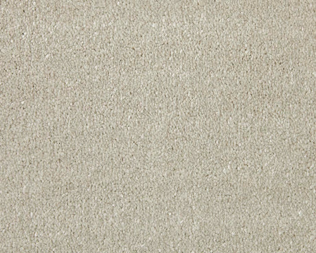 Apollo Elite Carpet