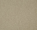 Sensation Carpet