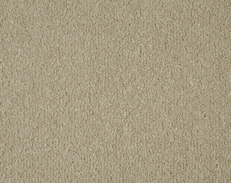 Sensation Carpet