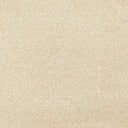 Cassius Saxony Carpet