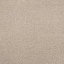 Cassius Saxony Carpet