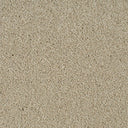 Cassius Saxony Carpet