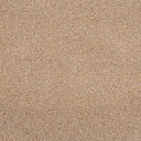Cassius Saxony Carpet