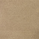 Cassius Saxony Carpet