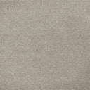 Cassius Saxony Carpet