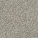 Cassius Saxony Carpet