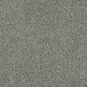 Cassius Saxony Carpet