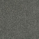 Cassius Saxony Carpet