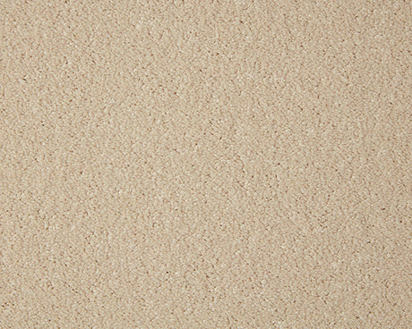 Primo Grande Carpet