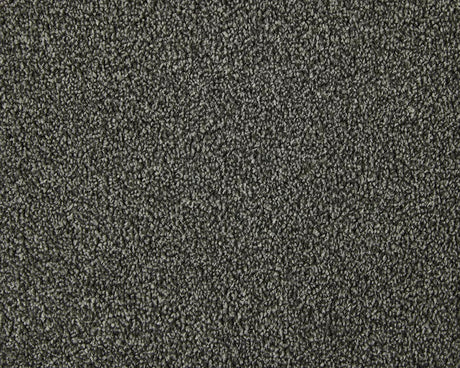 Apollo Elite Carpet