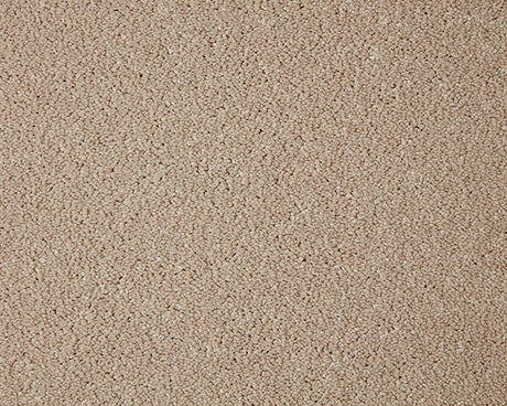 Primo Grande Carpet
