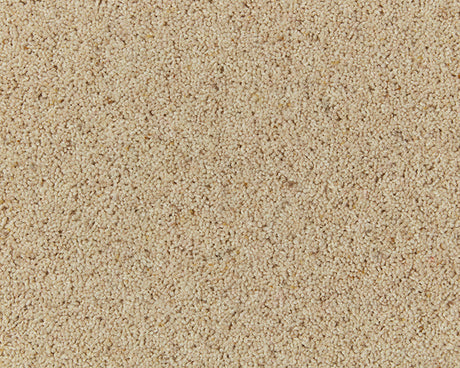 Natural Berber Twist Carpet