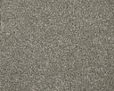 Apollo Elite Carpet